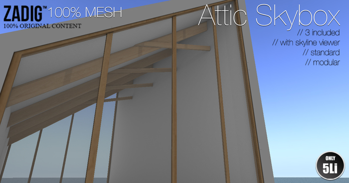 ZADIG - Attic Skybox