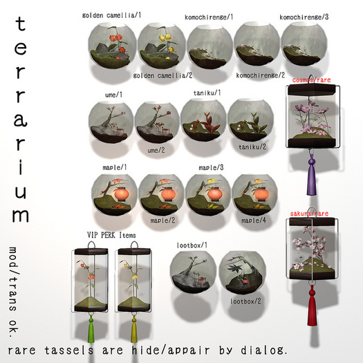 *N*Terrarium - GoldenCamellia 2