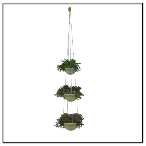 Hanging Plants - Belle Belle Furniture