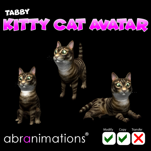 Tabby Kitty Cat Avatar