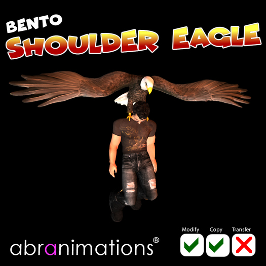 * Bento Shoulder Eagle (2018) *