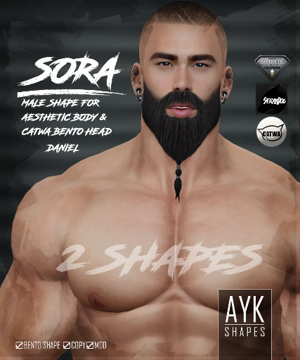 AYK-SHAPES@Aesthetic Shape SORA