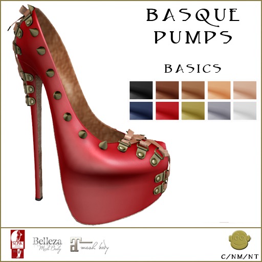 BM Basque Pumps Basics