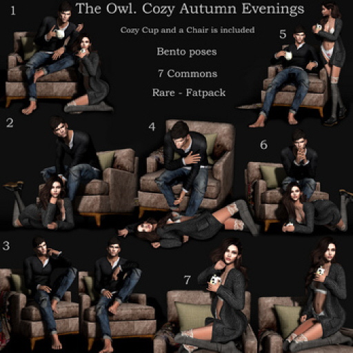 The Owl. Cozy Autumn Evenings RARE