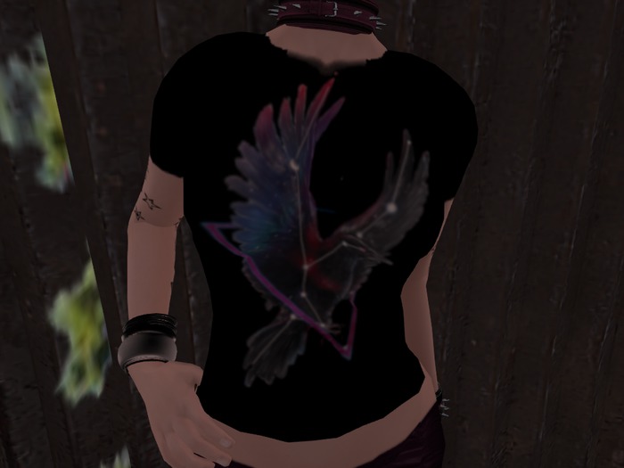 Women's Fitted Raven Logo Graphic Tee