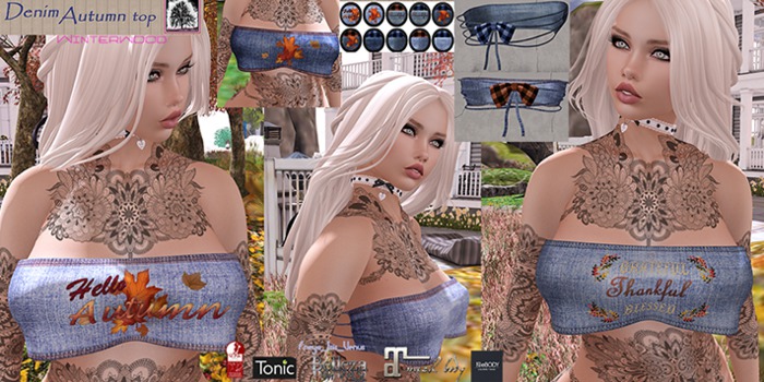 .:WinTeRwooD Designs:.Denim Autumn Top
