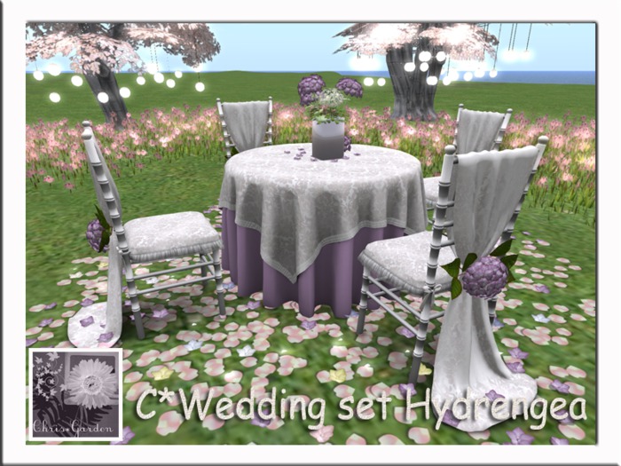 C*Wedding table and chairs Hydrengea updated
