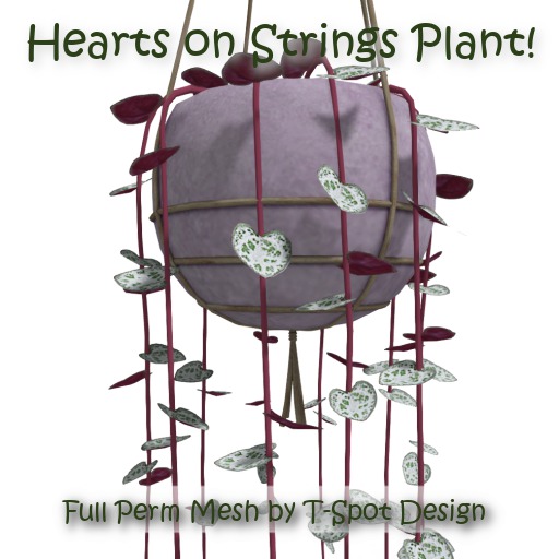 T-Spot Mesh - Hearts on Strings Plant  - Full Perm - LI=0.6