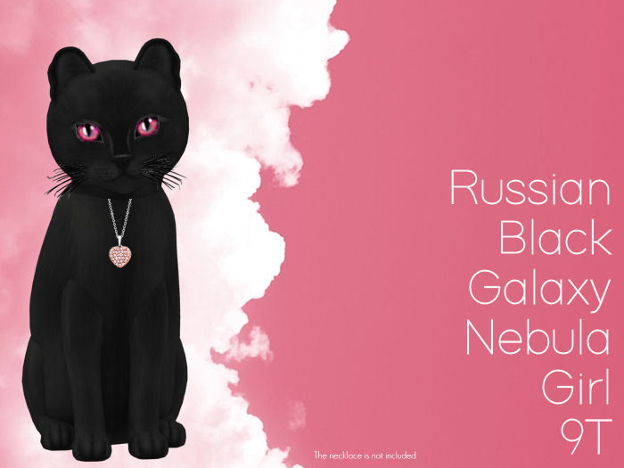 KittyCatS Box - Russian - Black - Girl - 9T