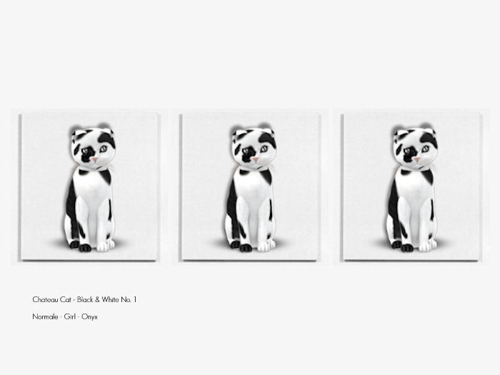 KittyCatS Box - Chateau Cat - Black & White No. 1 - Girl - Onyx