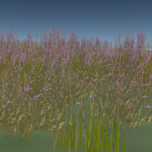 Mystical Menagerie Heather Field