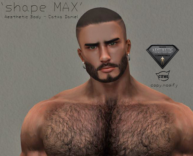 Aesthetic Shape MAX face/body/eyebrows shape