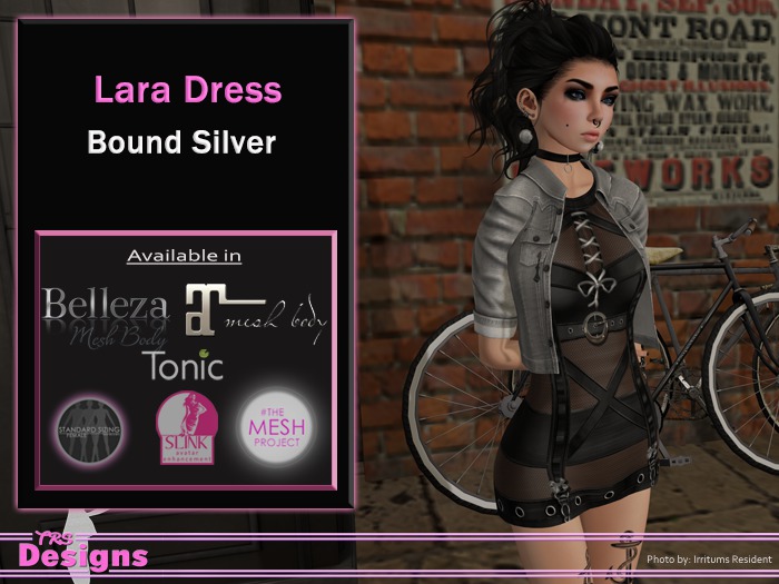 Lara Dress Bound Silver