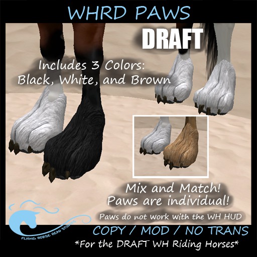 Water Horse Riding Horse Draft Paws