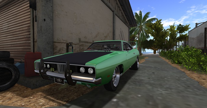 Raccoon Racing - Charlotte Custom