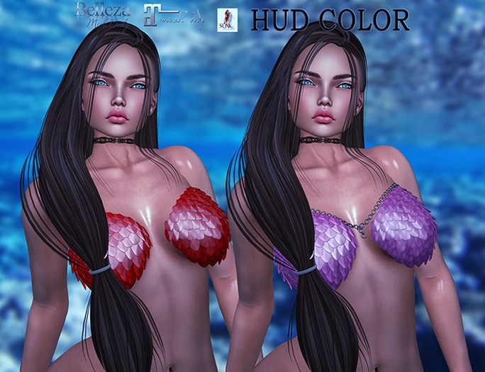 J.C Top Fish HUD COLOR