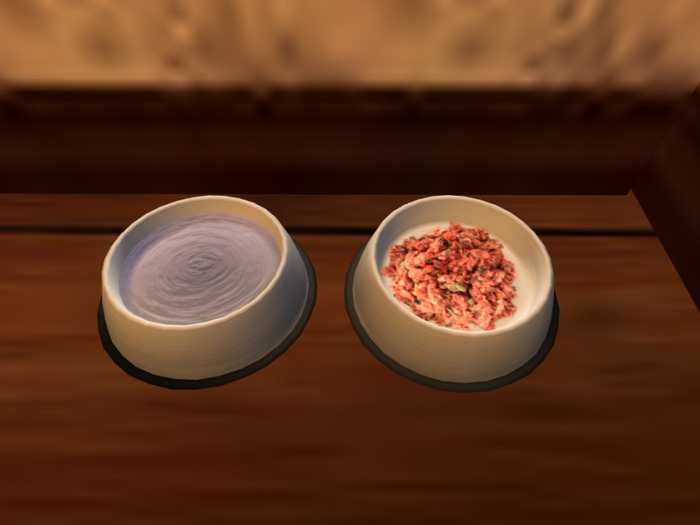 Custom Pet Bowls