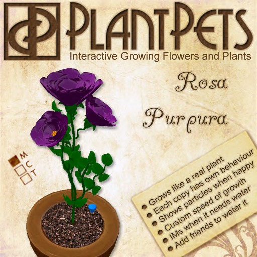 PlantPet Seed [Rosa *Purpura*]