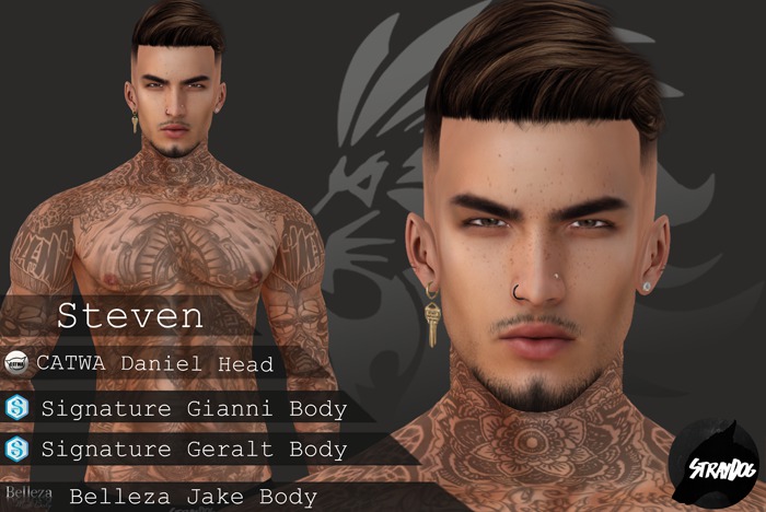 Steven Shape (Signature / Belleza & CATWA Daniel)