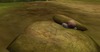 Snapshot 006