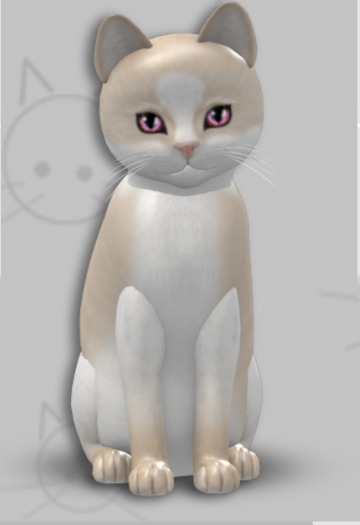 KittyCatS Box - Chateau - Cream & White