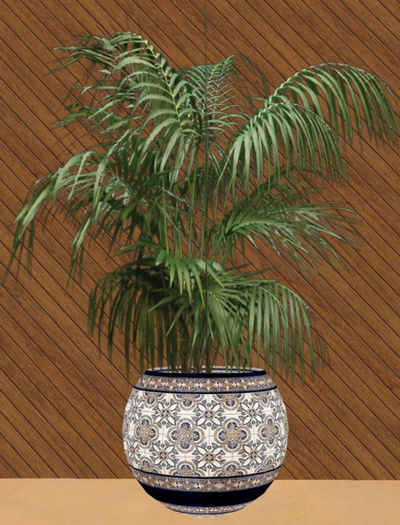 Potted Palm Blue Moroccan