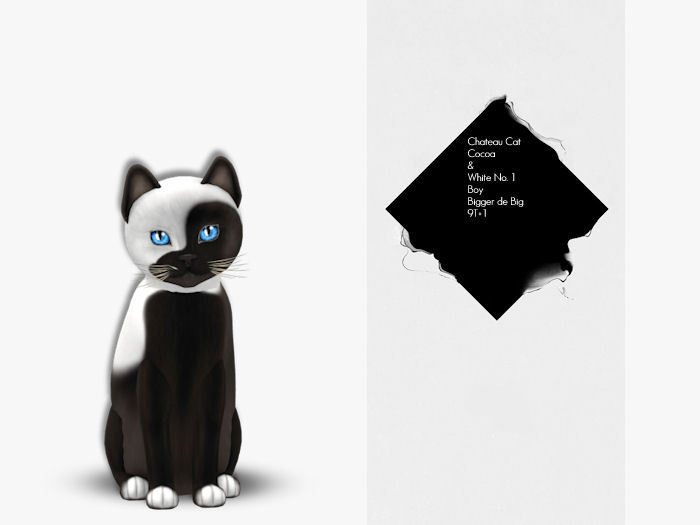KittyCatS Box - Chateau Cat - Cocoa & White No. 1 - Boy Big de