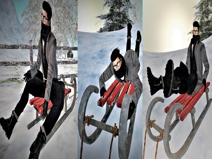 !T.Z! Poses - Sled