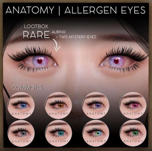 ANATOMY - ALLERGEN EYES - COMMON - GREY