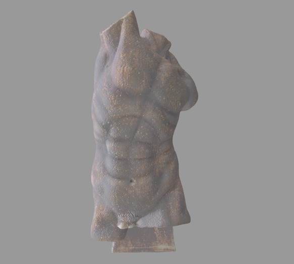 Masculine Bust