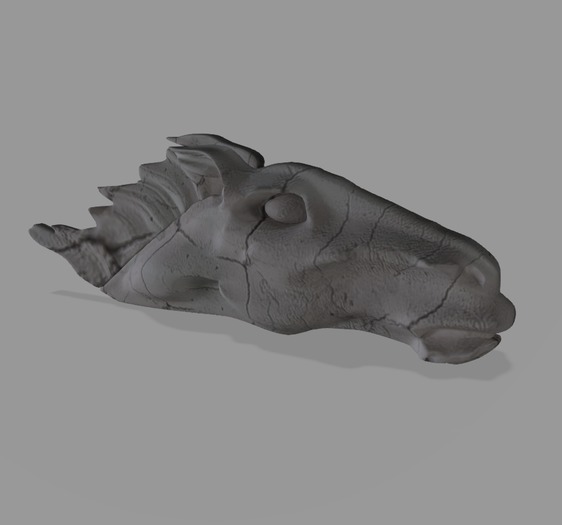 Horse Head Fragment