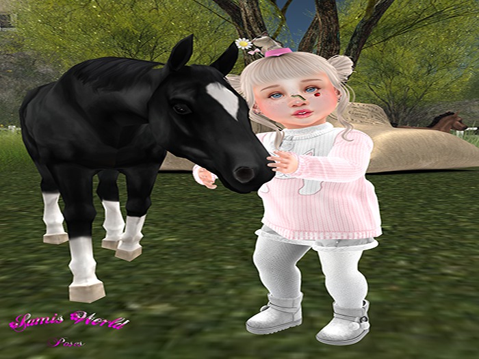 SAMIS WORLD Pferd Pose