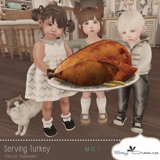 [SC] Say Cheese - Serving Turkey