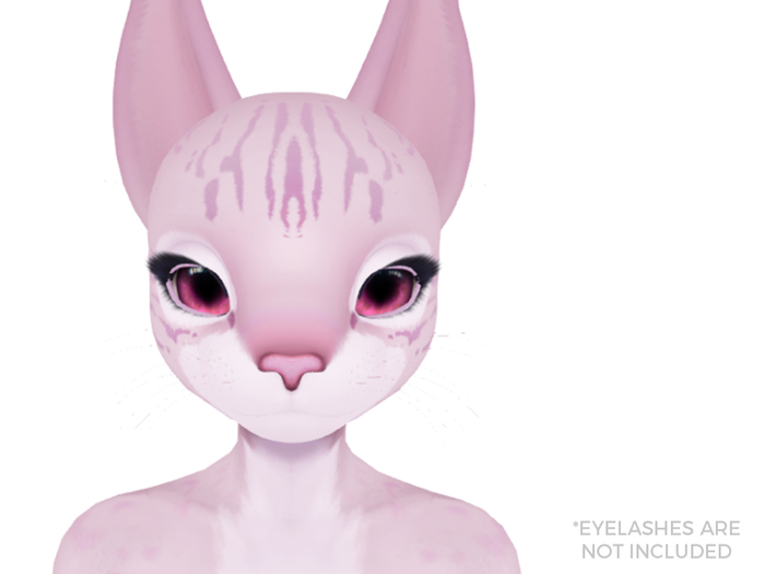 FEOH// Paws Feline Head_LP Siamese_Blush (HUD - Wear Me)