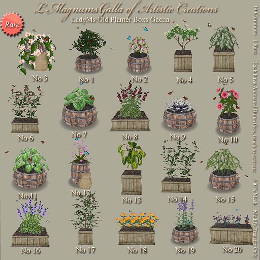LadyMs Old Planter Boxs  - No 12
