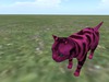 Snapshot 743