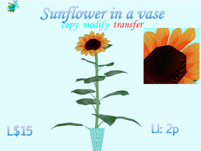 Sunflower in a vase