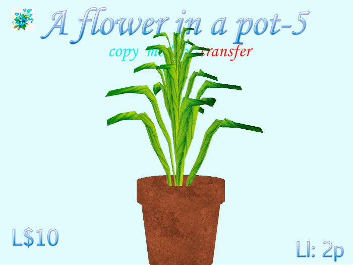 A flower in a pot-5