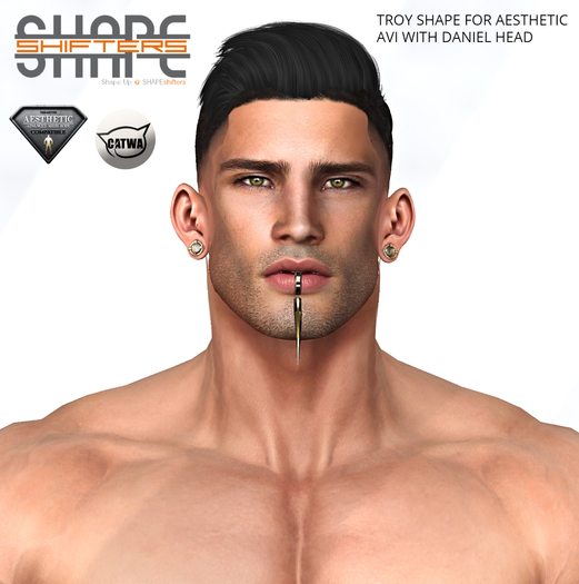 Second Life Marketplace - [SHAPEshifters] TROY SHAPE FOR AESTHETIC AVI ...