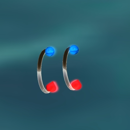 2 Earrings