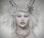 Snow buck pretty rexen