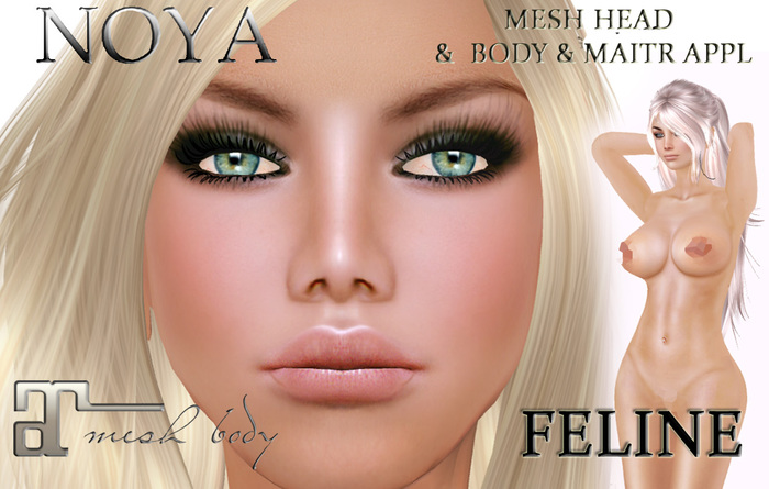 **NOYA** FELINE Reflection Mesh Eyes