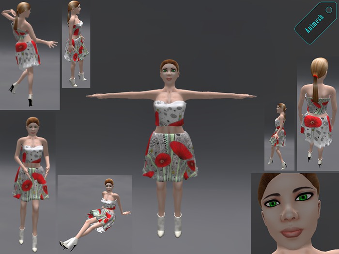 Animesh Bento Girl add own animations,50% christmas discount(copy,modify)