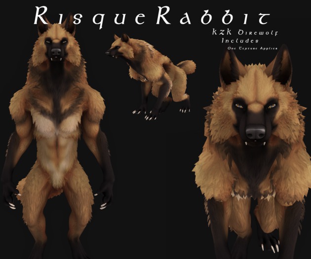 [Risque Rabbit] Unpacker - Malinois