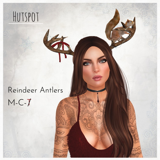 Reindeer Antlers