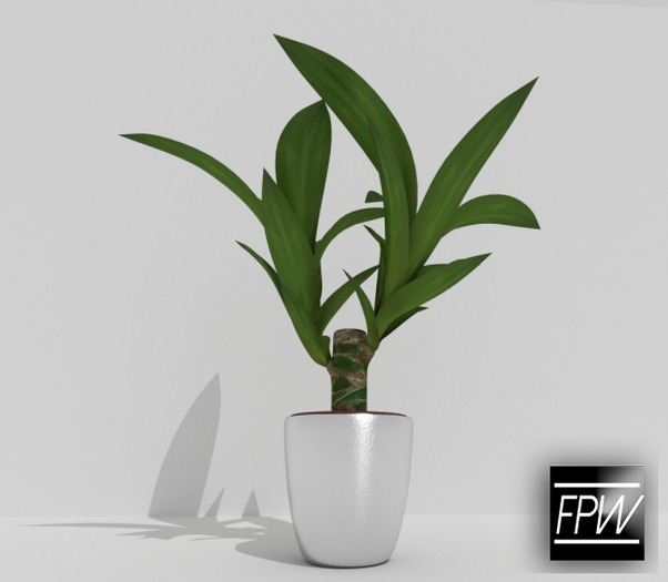 [FPW] Plant - FULL PERMS 