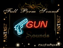 Bunny's Sounds-Gunshots Sound Clips
