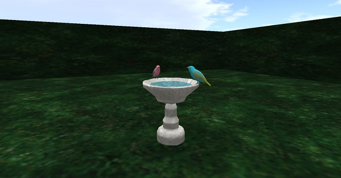 bird bath