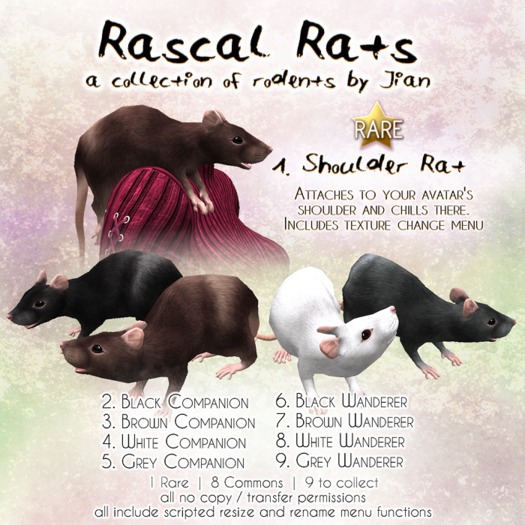 JIAN Rascal Rats 6. Black Wanderer BOX