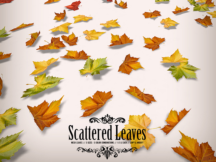 NOMAD // Scattered Leaves